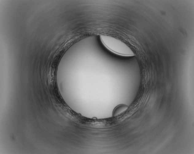 X0000113350236200909151032