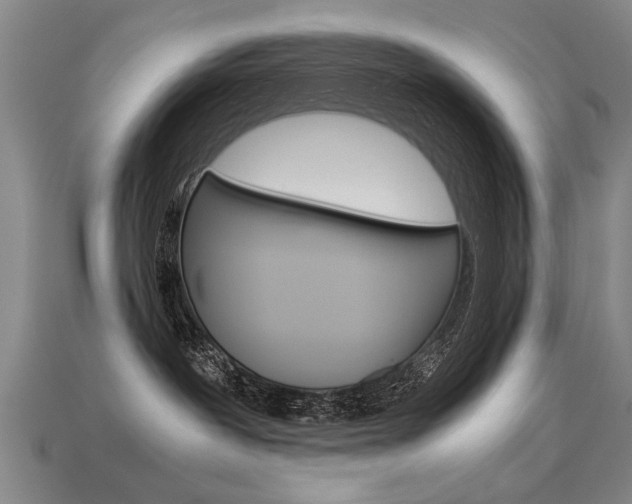 X0000113350239200909151032