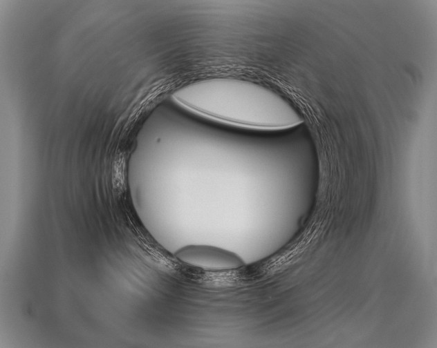 X0000113350240200909151032