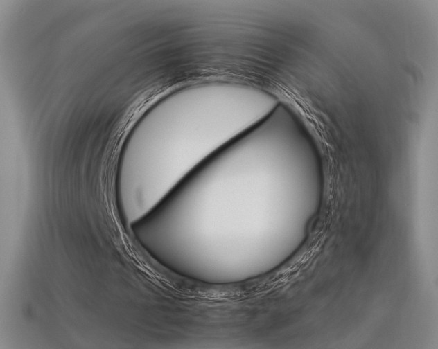 X0000113350241200909151031