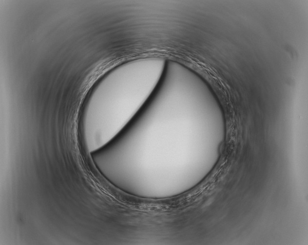 X0000113350242200909151031