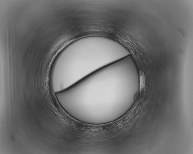 X0000113350243200909151031