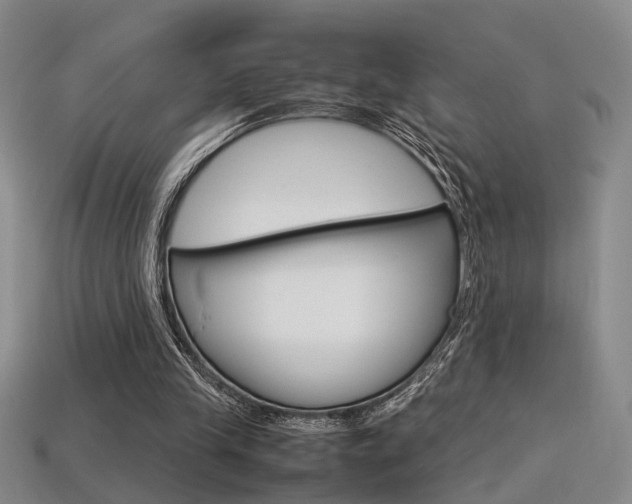 X0000113350245200909151032