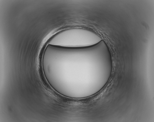 X0000113350246200909151032