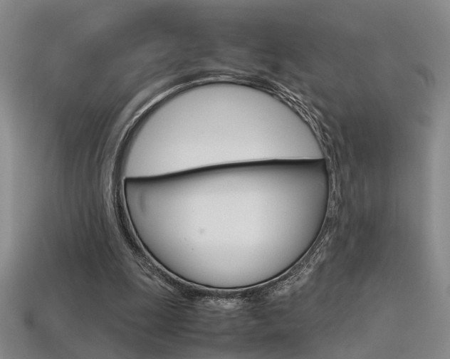 X0000113350247200909151032