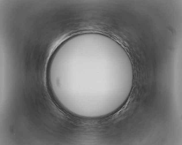 X0000113350248200909151032
