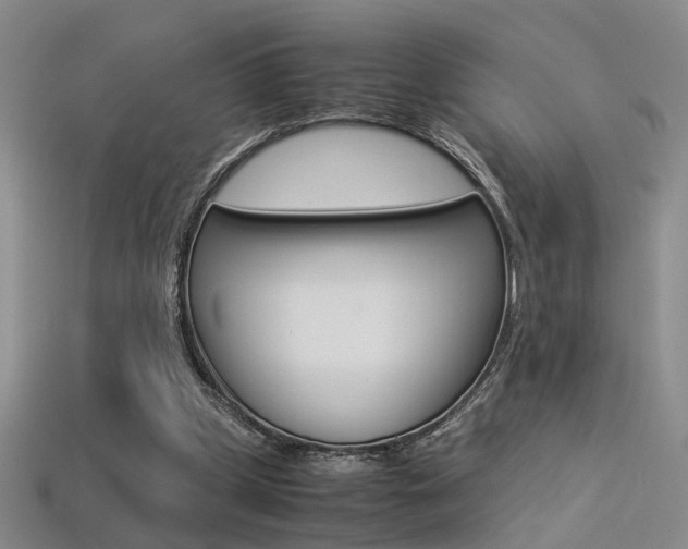 X0000113350249200909151032