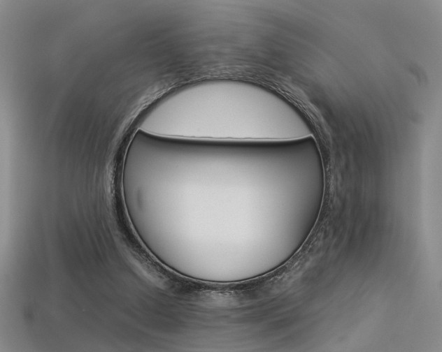 X0000113350250200909151032
