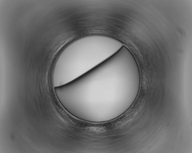 X0000113350251200909151032
