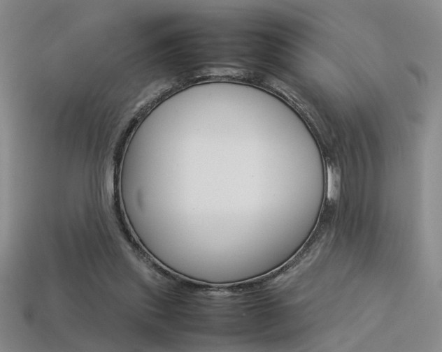 X0000113350253200909151032