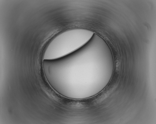X0000113350254200909151032
