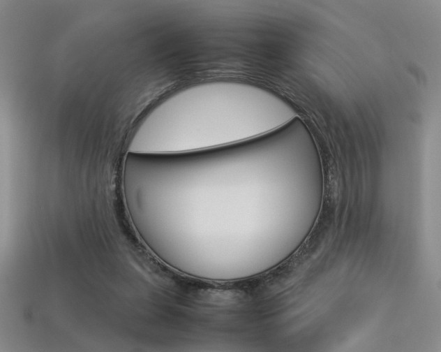 X0000113350255200909151032