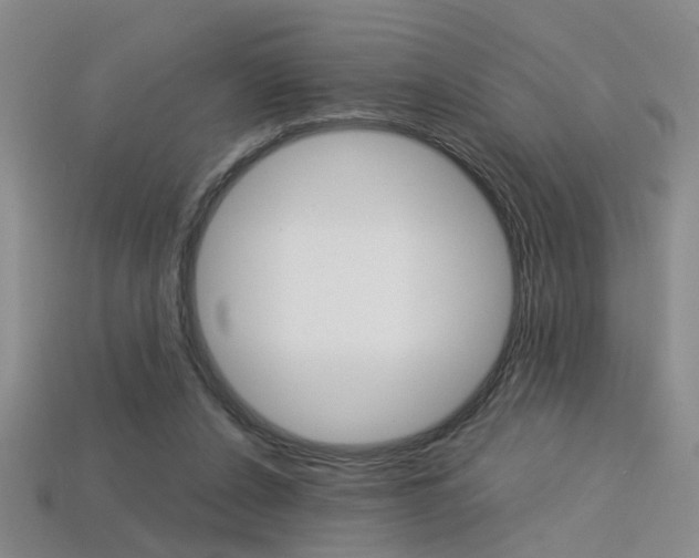 X0000113350256200909151032