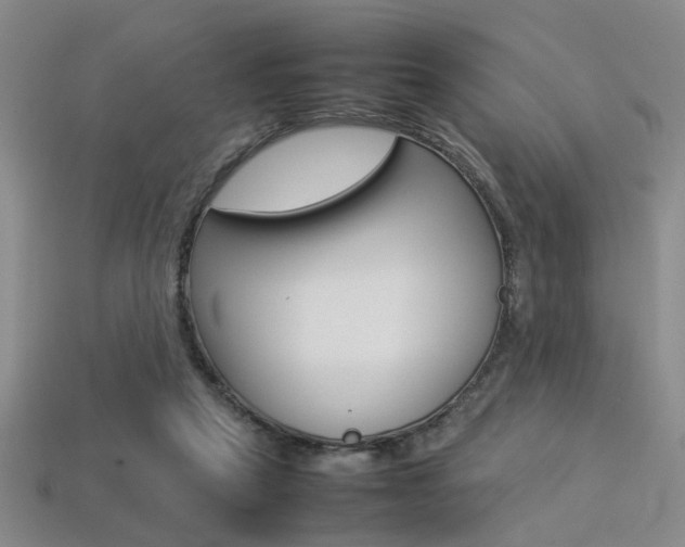 X0000113350257200909151032