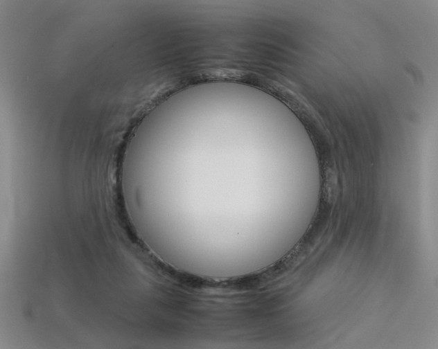 X0000113350259200909151032