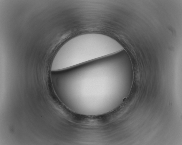 X0000113350260200909151032
