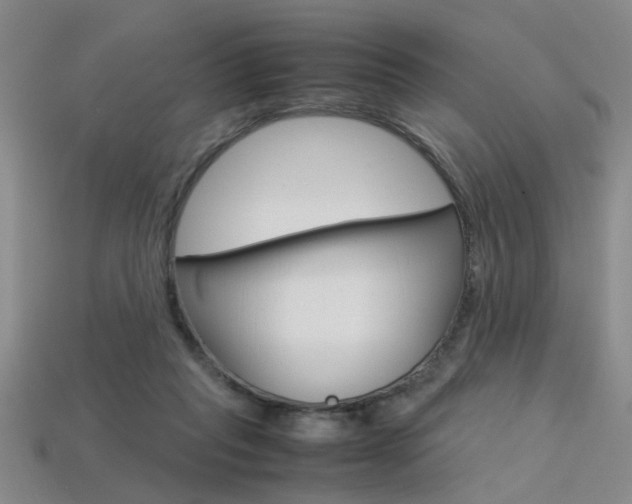 X0000113350261200909151032