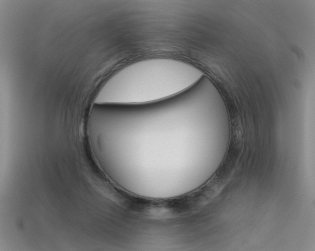 X0000113350262200909151032
