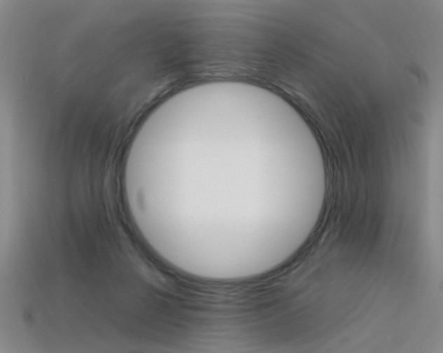 X0000113350264200909151032