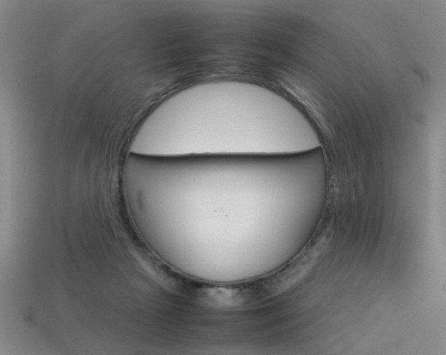 X0000113350265200909151032
