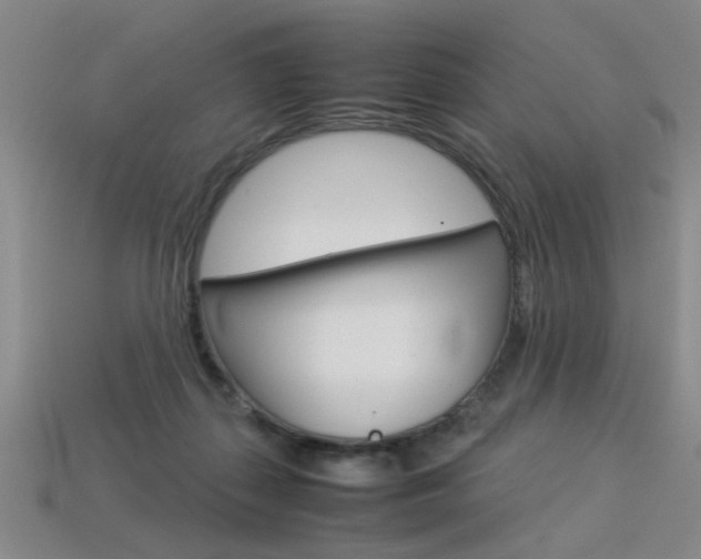 X0000113350267200909151032