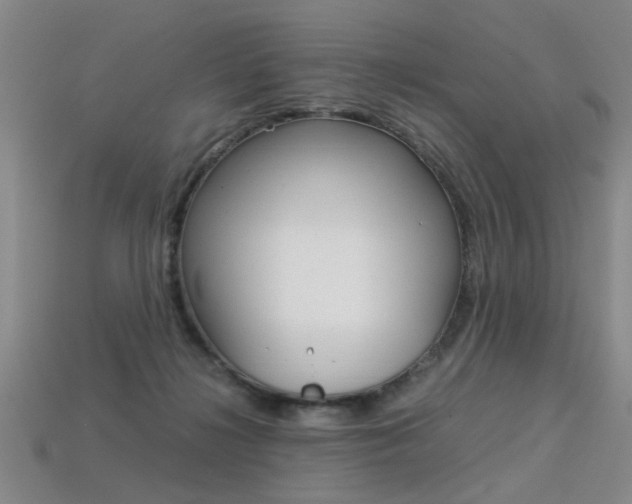 X0000113350268200909151032