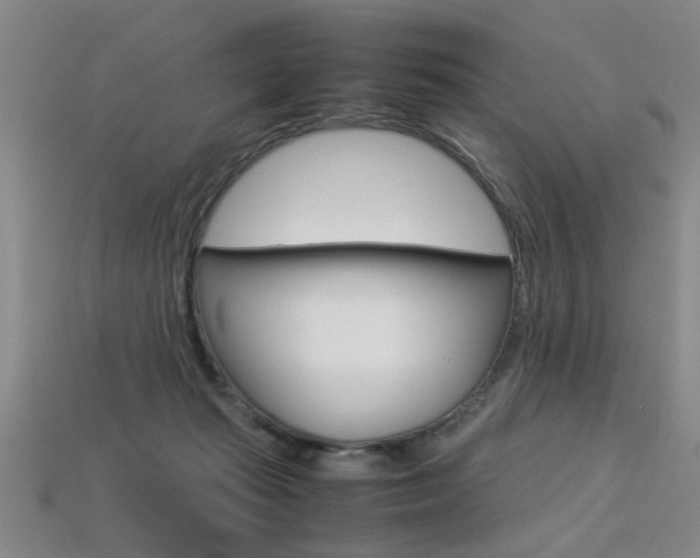 X0000113350269200909151032