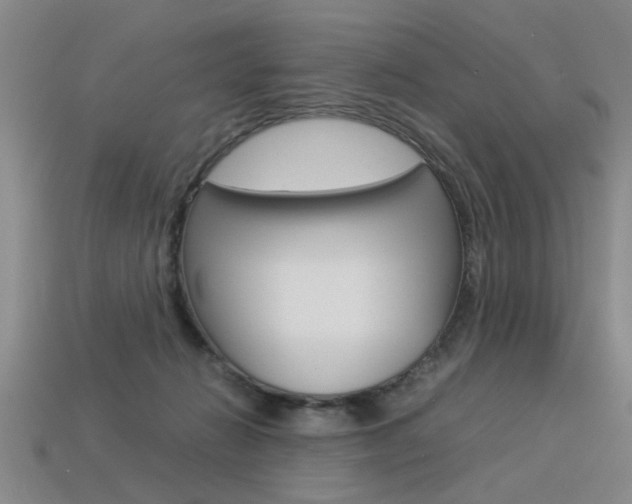 X0000113350270200909151032