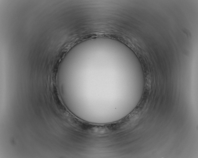 X0000113350272200909151032