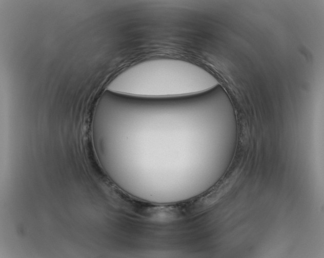 X0000113350273200909151032