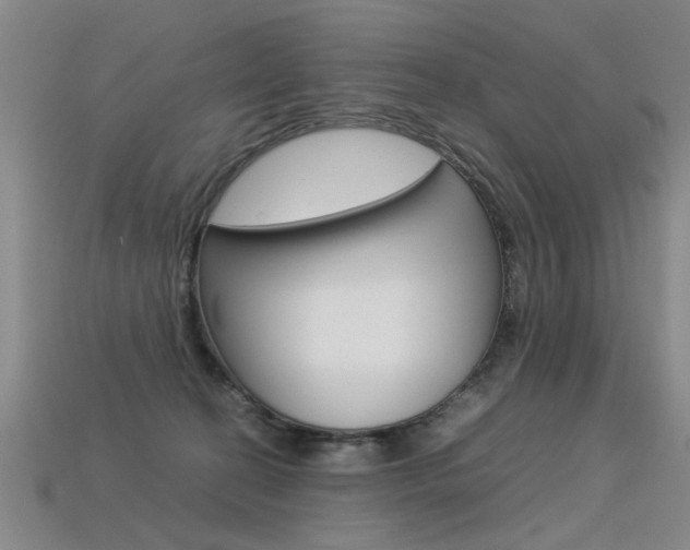 X0000113350274200909151032