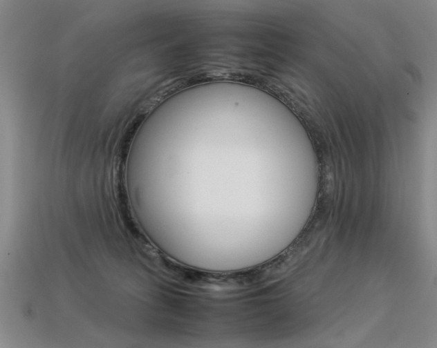 X0000113350275200909151032