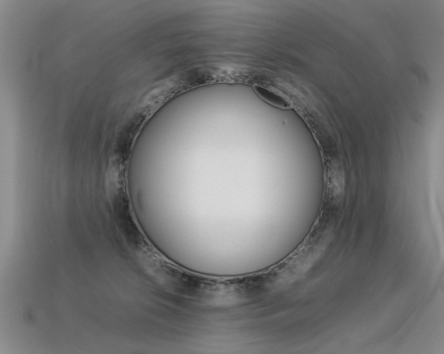 X0000113350276200909151032