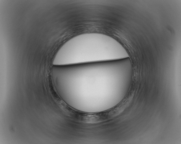 X0000113350277200909151032