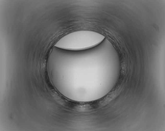 X0000113350278200909151032