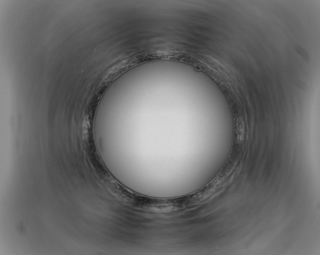 X0000113350279200909151032