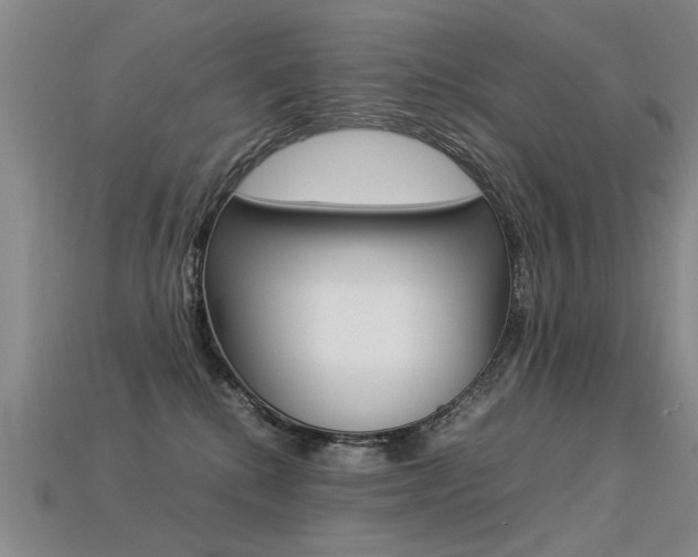 X0000113350280200909151032