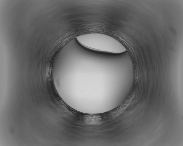 X0000113350281200909151032