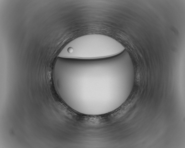X0000113350282200909151032