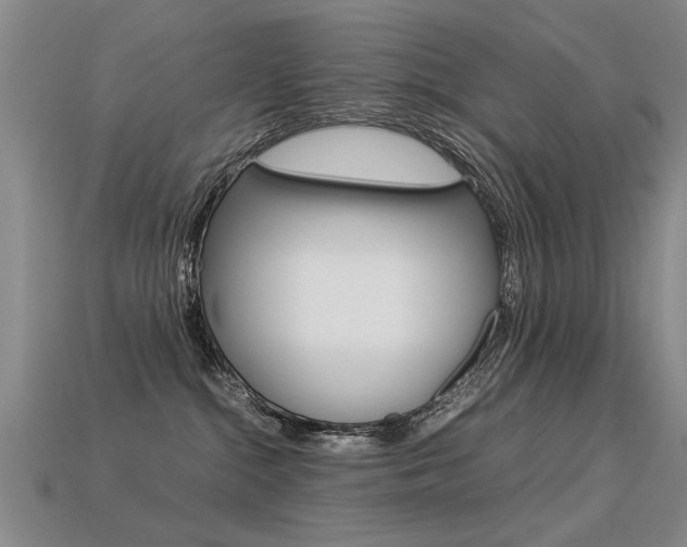 X0000113350284200909151032