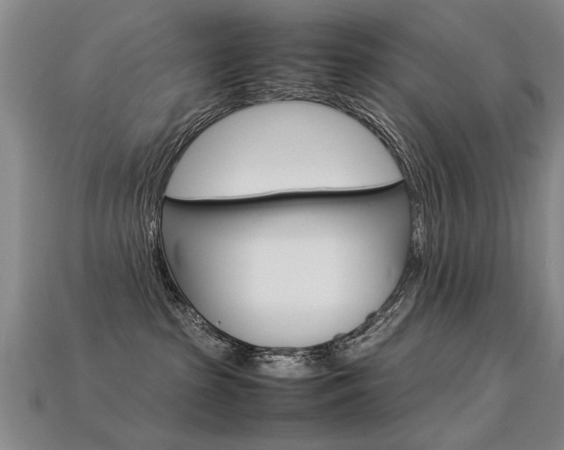 X0000113350285200909151032