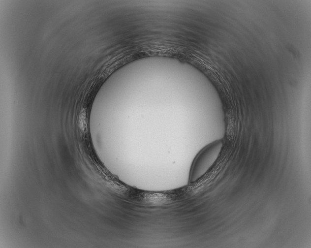 X0000113350287200909151032