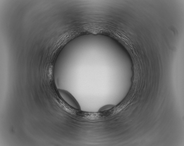 X0000113350288200909151032