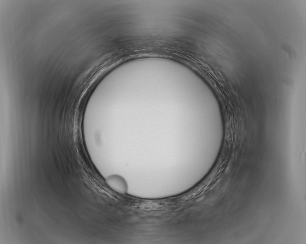X0000113350290200909151031