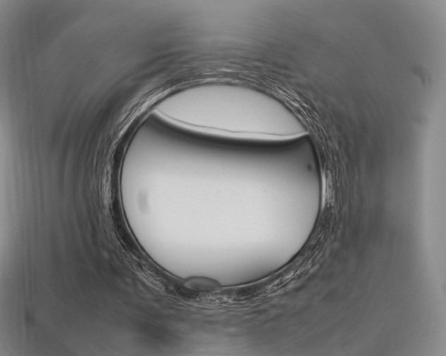X0000113350291200909151031