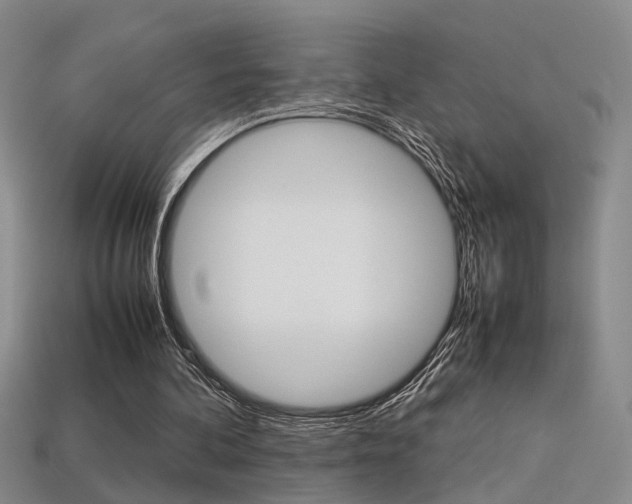 X0000113350292200909151031