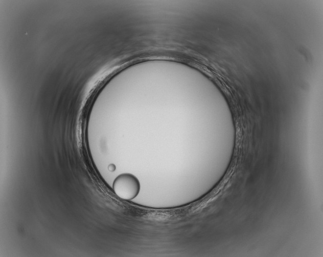 X0000113350294200909151031