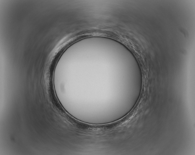 X0000113350295200909151031