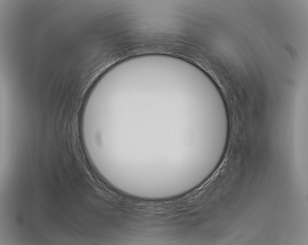 X0000113350297200909151031