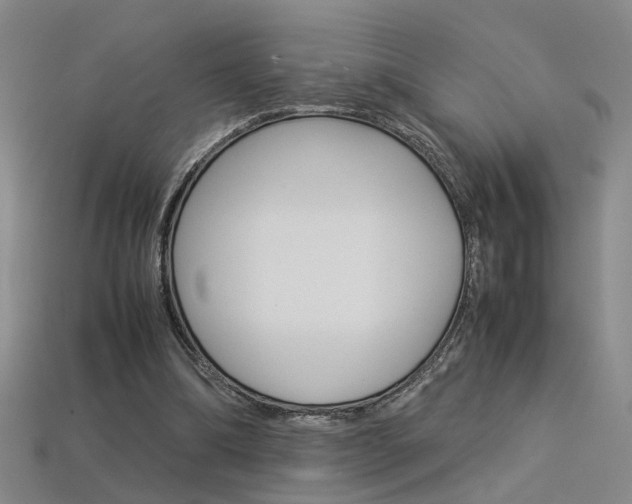 X0000113350298200909151031